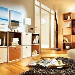 BAUHAUS Regalux Regaltür & Rückwand-Set 41,5 X 34,5 Cm, Nadelholz -Regale Verkaufsladen 12 147