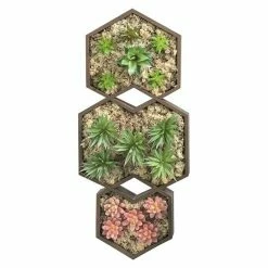 BAUHAUS Rahmen-Set Design-Rahmen 3 Stk., Holz, Sechseckig