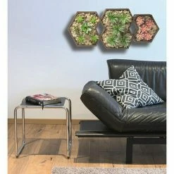 BAUHAUS Rahmen-Set Design-Rahmen 3 Stk., Holz, Sechseckig -Regale Verkaufsladen 12 605