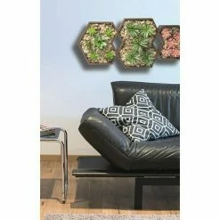 BAUHAUS Rahmen-Set Design-Rahmen 3 Stk., Holz, Sechseckig -Regale Verkaufsladen 12 606