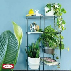 BAUHAUS Bellissa Regalsystem Filo 2x4 59 X 31 X 117 Cm -Regale Verkaufsladen 12 809