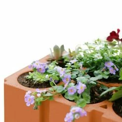 BAUHAUS Weinregal 36,5 X 24 X 24,9 Cm, Anzahl Flaschen: 6 Stk., Ton -Regale Verkaufsladen 12 993